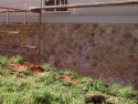 Random Sandstone Foundation